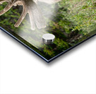 Bull Moose Wild Impression Acrylique