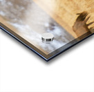 Elk Heard Colorado Foothills Plains Panorama Impression Acrylique