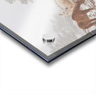 Horses Winter Snow Fog Acrylic print