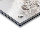 Rocky Mountain Horses Snow Fog Impression Acrylique