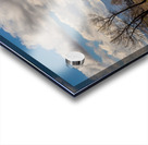 Boulder Colorado Front Range Panorama View Impression Acrylique