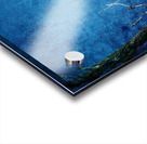 Bald Eagle Blues Into Night Acrylic print