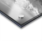 St Vrain Ponds Longs Peak View In Black and White Acrylic print