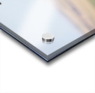 Big Horn Sheep Lucky Number 13 Impression Acrylique