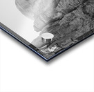 Silent Majesty George Washingtons Profile at Mount Rushmore Acrylic print