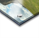 Longhorn Cow Posing at Devils Tower in Wyoming - First US Nation Impression Acrylique