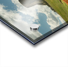 Texas Longhorn Cows Gracefully Posing at Majestic Devils Tower Impression Acrylique