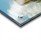 Majestic Devils Tower in Wyoming Surrounded by Pine Forest Acrylic print