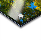 Autumns Radiant Canopy -  A Skyward View Acrylic print