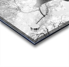 Monochrome Tree Art -  Majestic Trunk and Leaves in Fine Detail Impression Acrylique