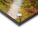 Autumns Country Retreat - A Canopy of Color Acrylic print