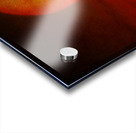 Big Sun Saguaro Sunset Impression Acrylique