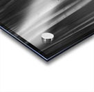 Aspen Trees Dreaming Black and White Abstract Acrylic print