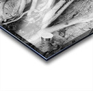 Tropical Tree Vibes Impression Acrylique