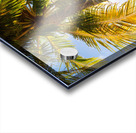 Reminiscent of a Tropical Paradise Acrylic print