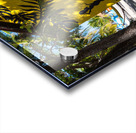 Labadee Haiti Island Vibes Acrylic print