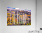 Rocky Mountain Autumn View Acrylic Print