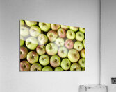 Little Green Apples Impression acrylique