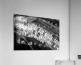 Indian Corn Black and White Impression acrylique