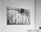 Pumpkin Pumpkin Black and White Impression acrylique