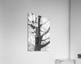 Branching Out in Timeless Black and White Elegance   Impression acrylique