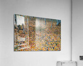 Art By Mother Nature Acrylic Print