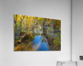 Reflections Time Acrylic Print