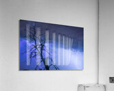 Lightning Tree Silhouette 38 Acrylic Print