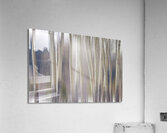 Rocky Mountain Winter Aspent Tree Forest Dream Acrylic Print