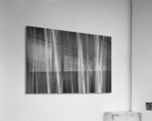 Autumn Aspen Trees Dreaming BW Impression acrylique