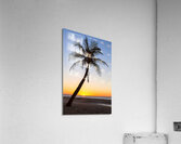 Coco Mo Tropical Sunrise Impression acrylique