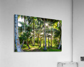 Jungle Paradise Sunshine Impression acrylique