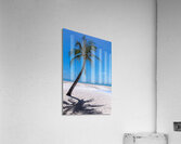 White Sand Beaches and Tropical Blue Skies Acrylic Print