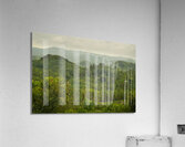 Verdant Tapestry of Tuburan Acrylic Print