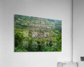  A Bare Tree Amidst Lush Hills Solitary Sentinel Acrylic Print