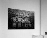 Majestic Solitude of a Bare Tree in Black and White Impression acrylique