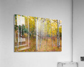 Happy Place In The Woods Impression acrylique