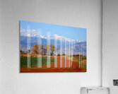 Boulder County Colorado landscape Red Road Autumn View Acrylic Print