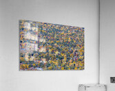 Colorful Trees of Boulder Colorado Acrylic Print