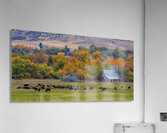 Just A Pretty Country Landscape Acrylic Print