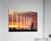Morning Blaze Over Desert  Saguaro Giants in Arizona Acrylic Print