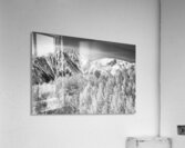 Timeless Majesty of Independence Pass Acrylic Print