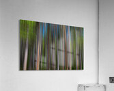 Colorful Forest Lines  Impression acrylique
