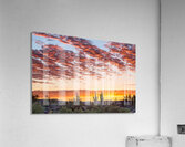 Colorful Sonoran Desert Sunrise Acrylic Print