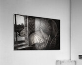 Whispers of the Garden A Monochromatic Cabbage Study Acrylic Print