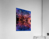Sunset Trees Abstract Reflection Art Acrylic Print