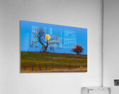 Supermoons Gilded Ascent A Celestial Masterpiece Acrylic Print