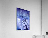 Purple Rain Over Boulder County Colorado Impression acrylique