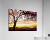 Colorado Sunset with Twin Peaks and Tree Silhouette Impression acrylique