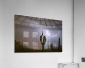 Desert Monsoon Lightning Saguaro Cactus Storm Photography Acrylic Print